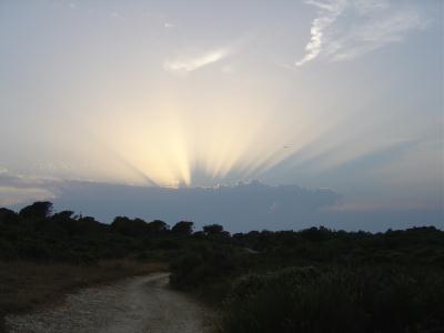 crown of light